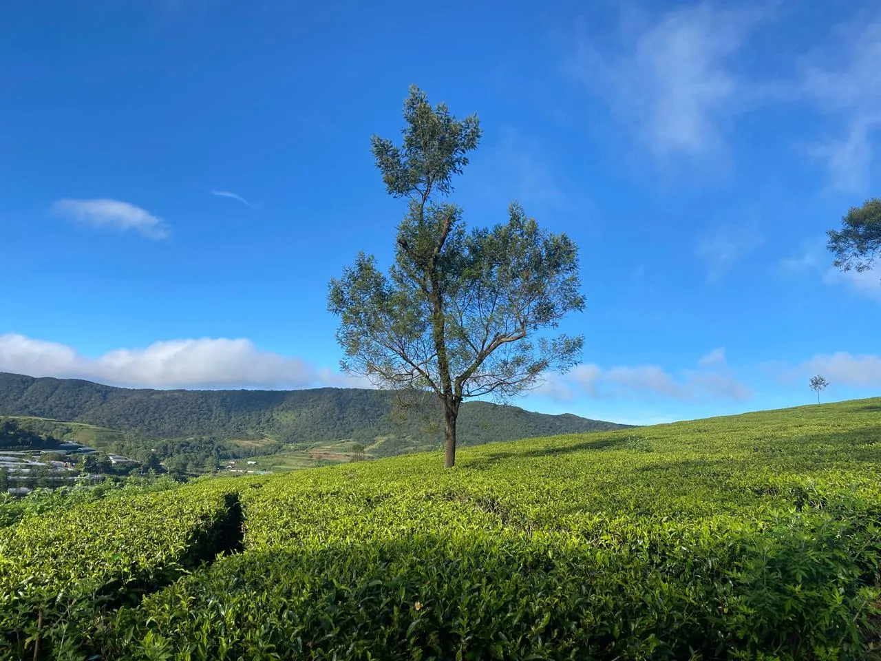 Timeless Charm, Modern Comfort - SKY HOTEL NUWARAELIYA